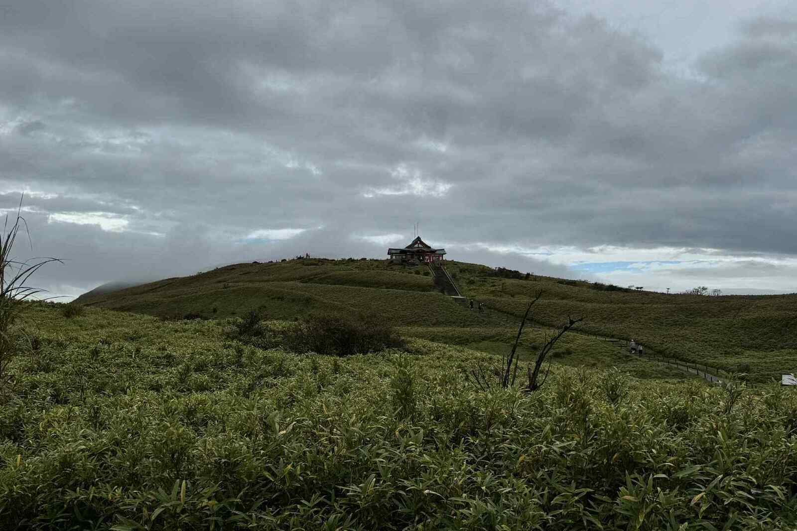箱根神社に行ってきました！