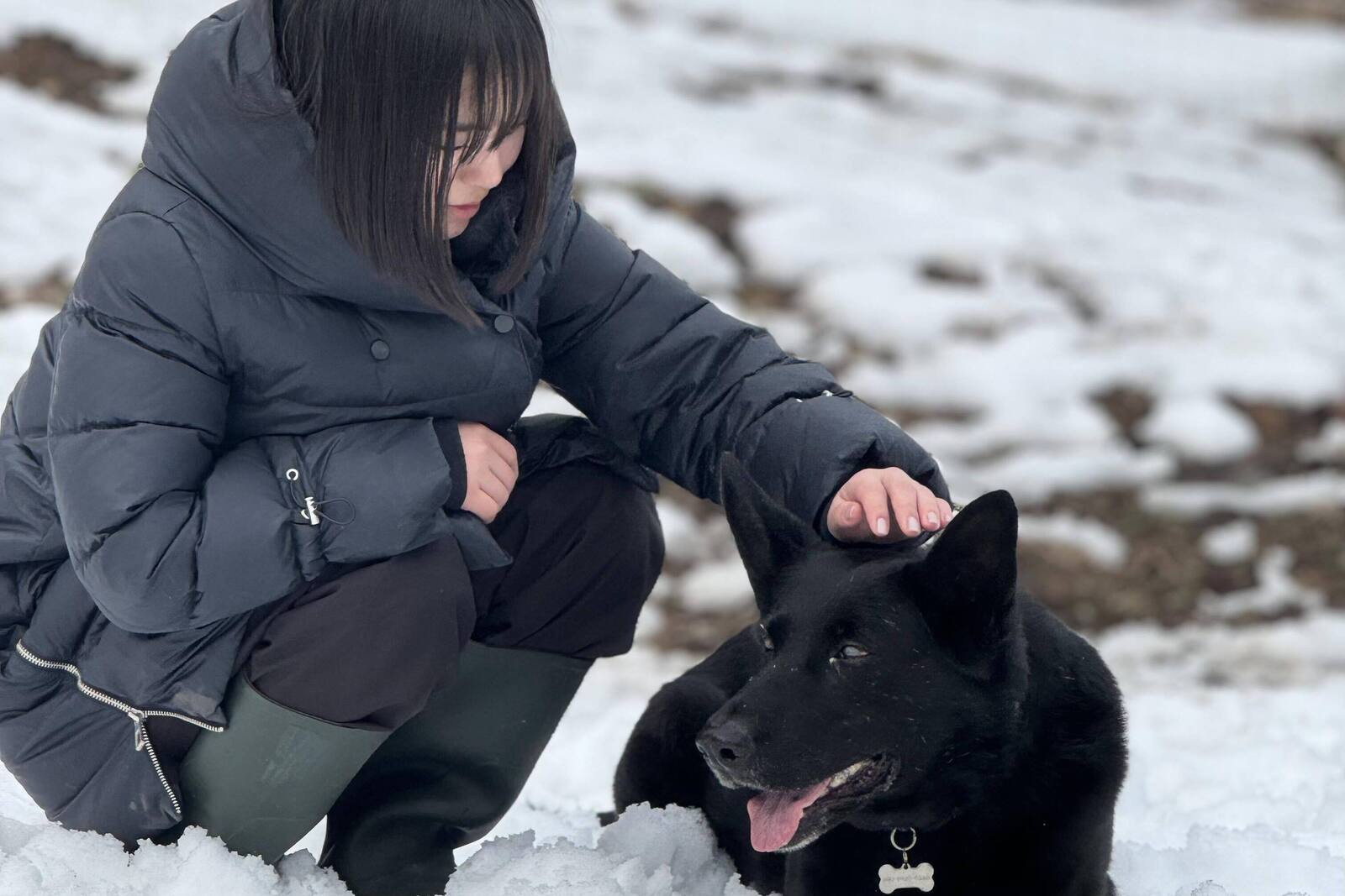 能登地震による避難犬を受け入れている JAZZY DOG LIFE(ジャジードッグ)さんのお手伝いに行ってきました！